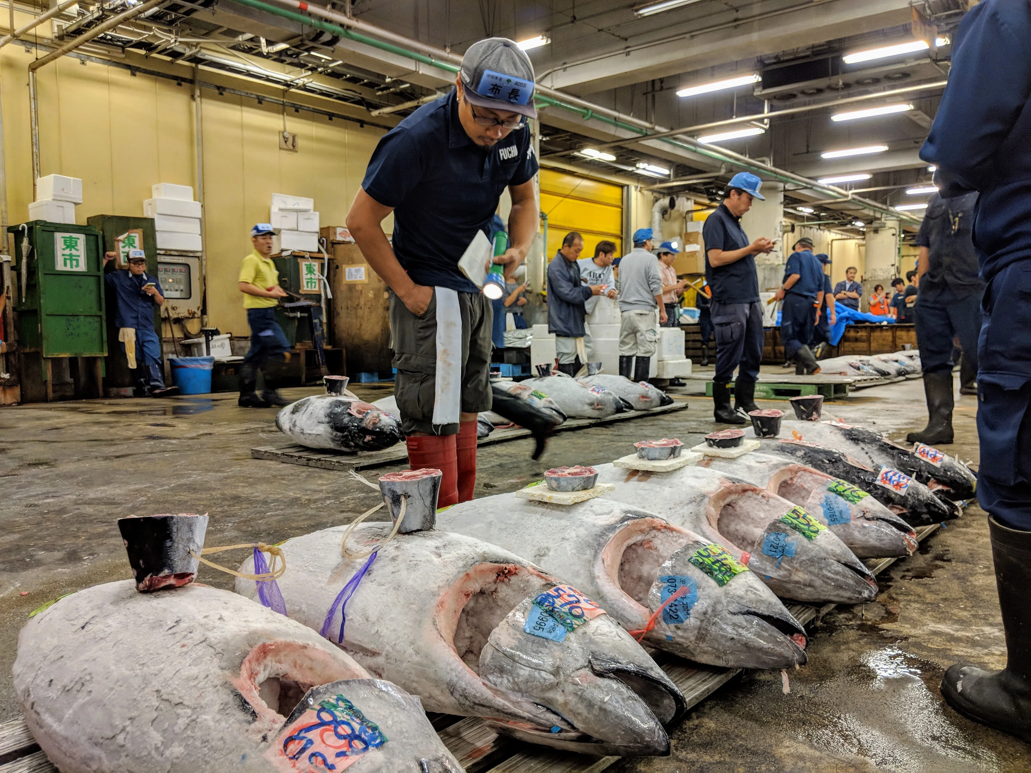 tokyo tsukiji samples.BKjg6kMA.jpg