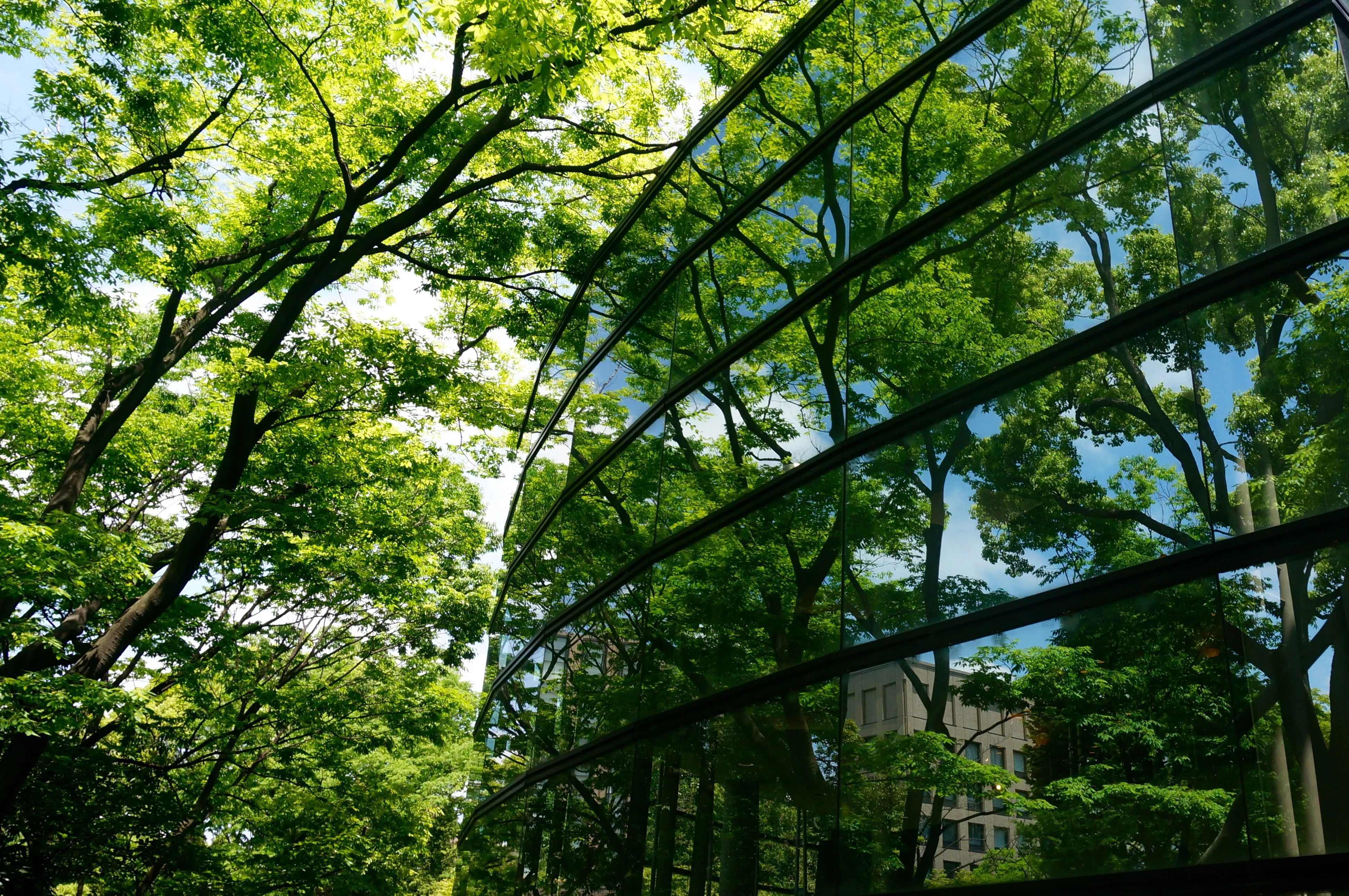 tokyo waseda glass.7ODOhIPS.jpg