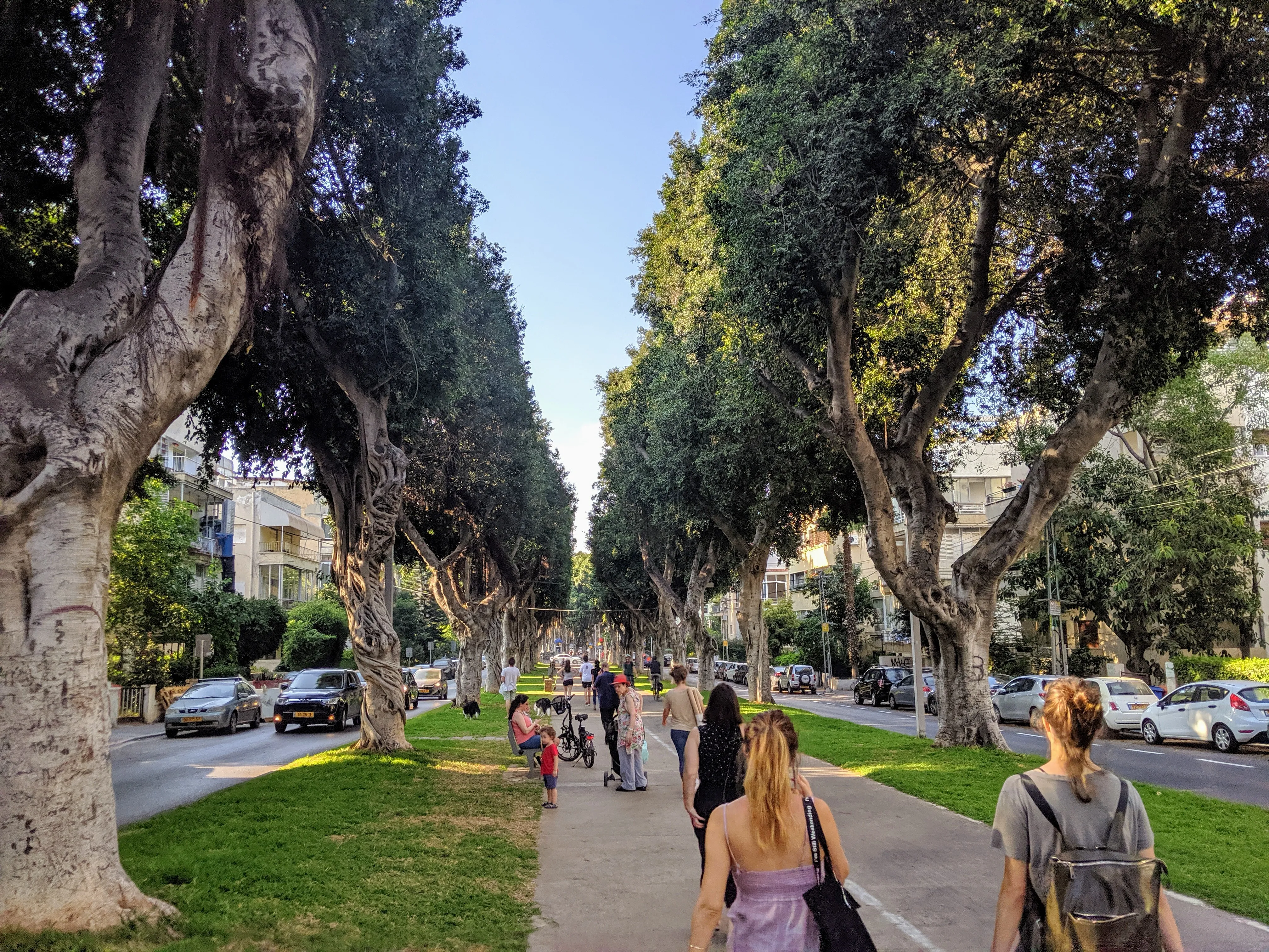 walkway.C1bD4McW.jpg