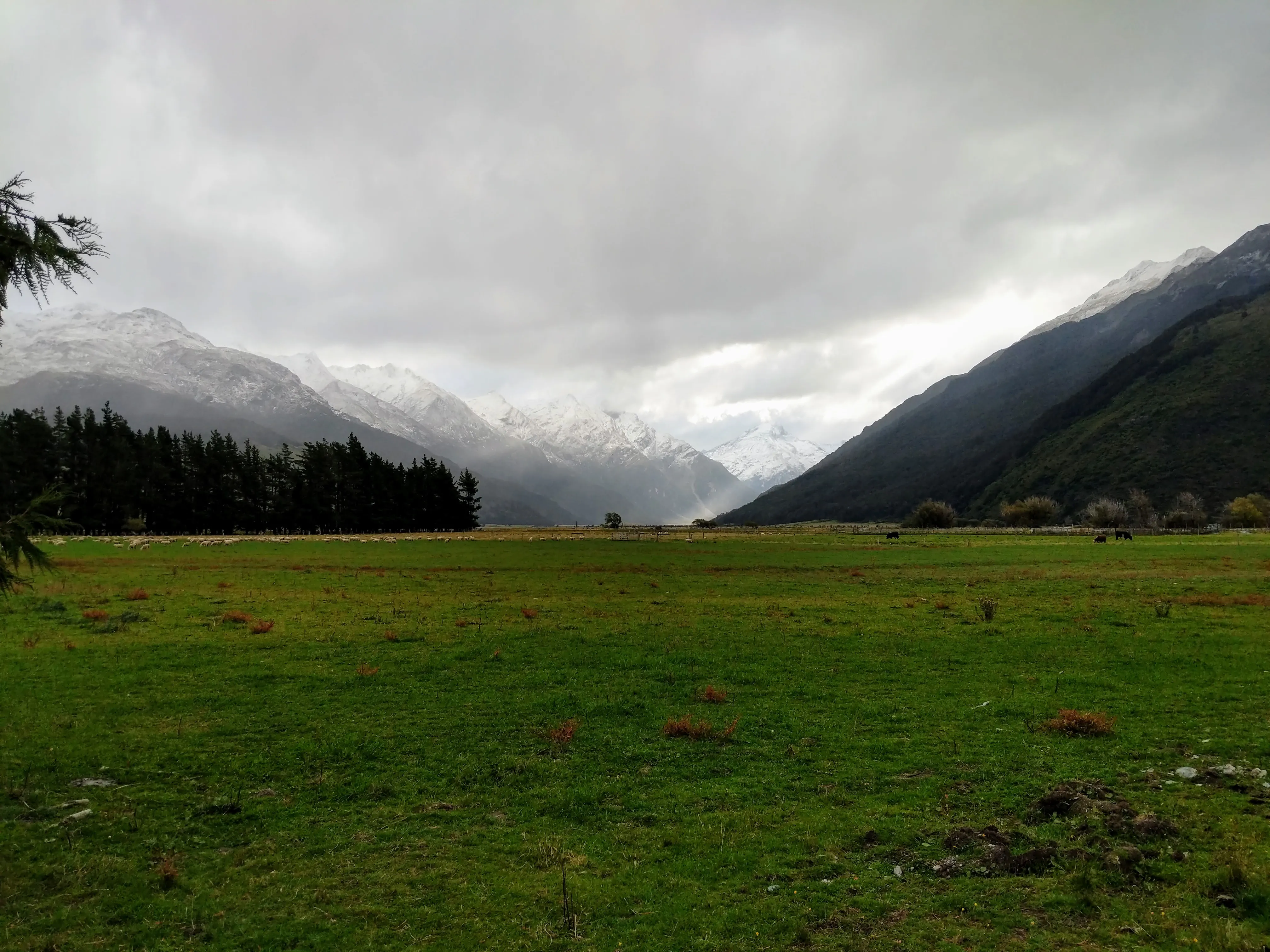 wanaka valley.BMSOVp43.jpg