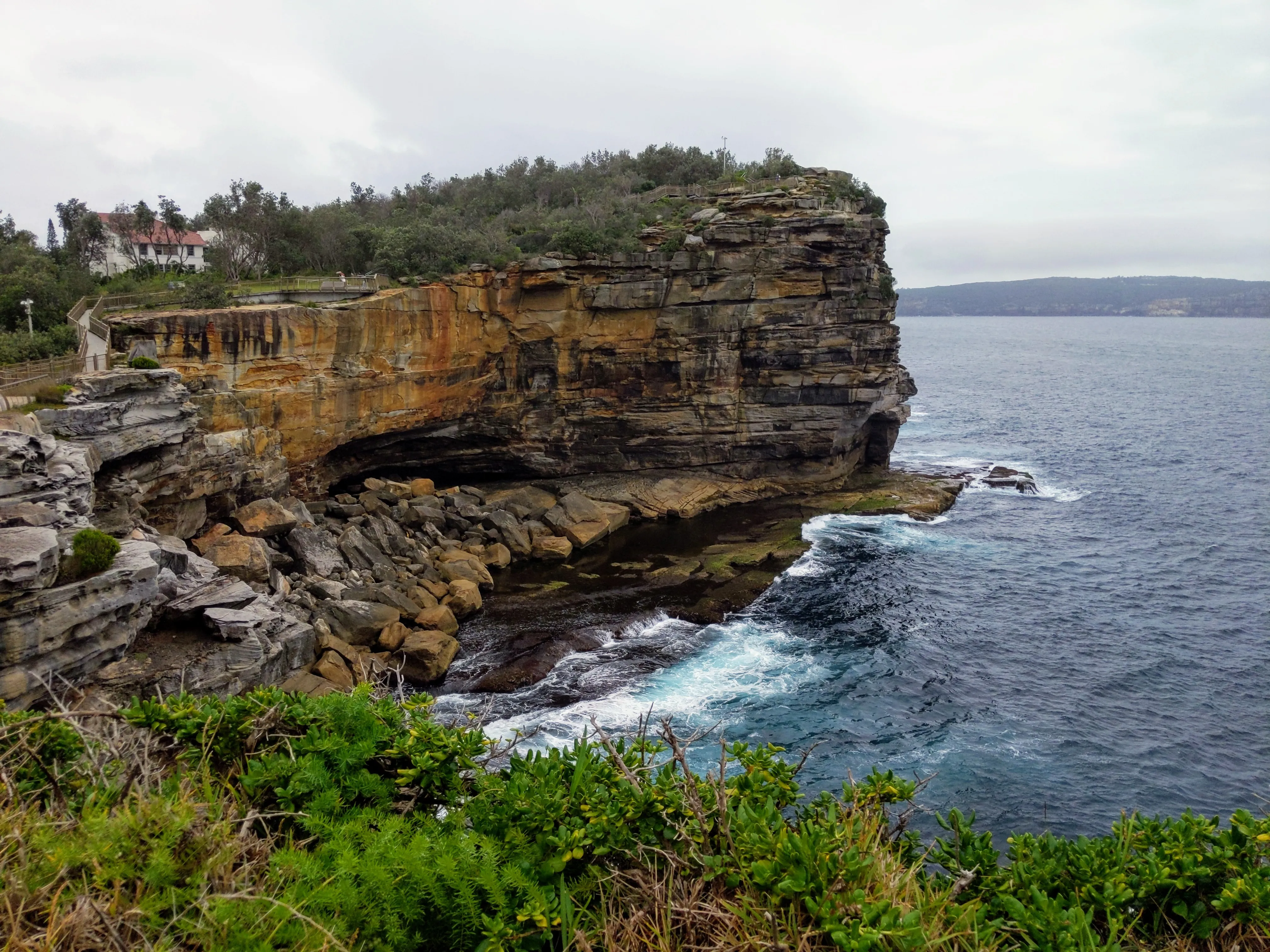 watsons bay cliff.DCNtOtp2.jpg