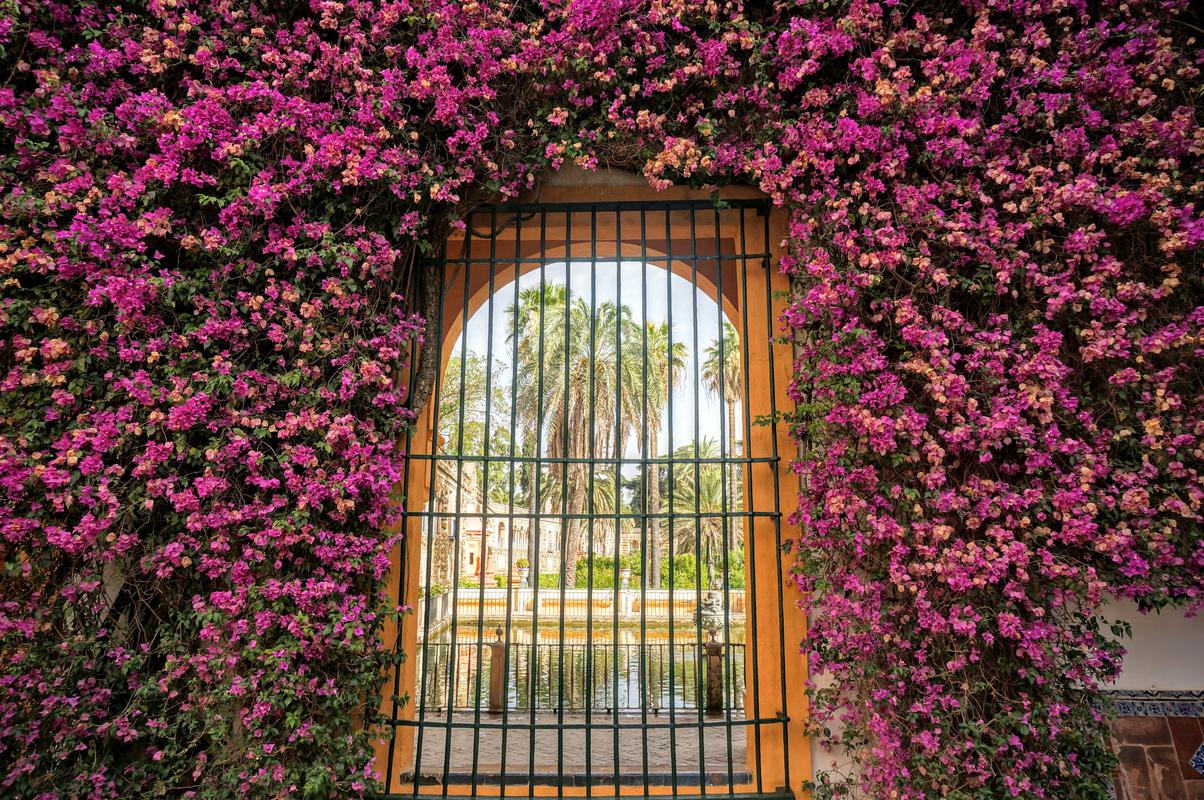 Seville alcazar gate